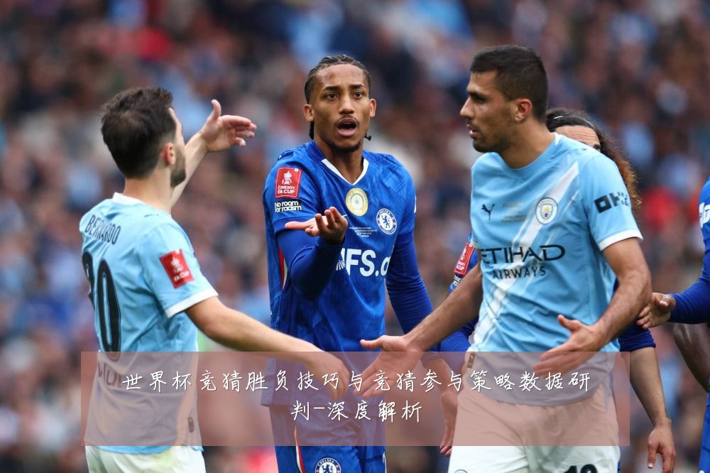 世界杯竞猜胜负技巧与竞猜参与策略数据研判-深度解析